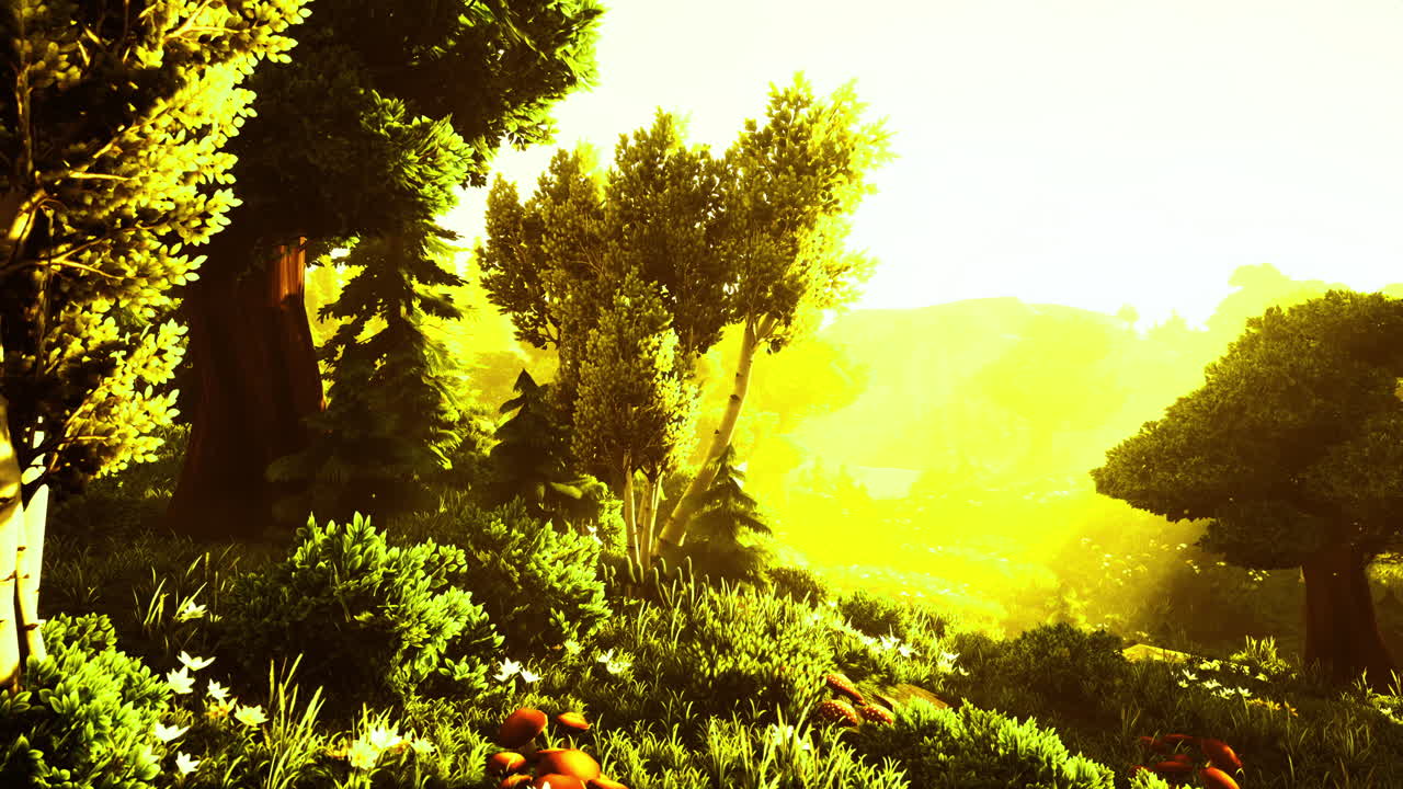 Golden sunlight bathes a serene forest landscape in morning warmth and beauty