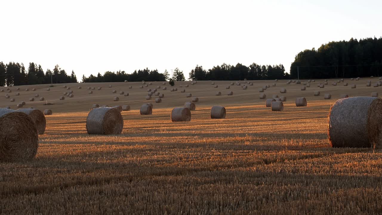 수확 후 에 알. 농업. 황금  풍경에 발.