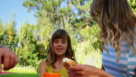 comiendo en familia en el jardín de la casa