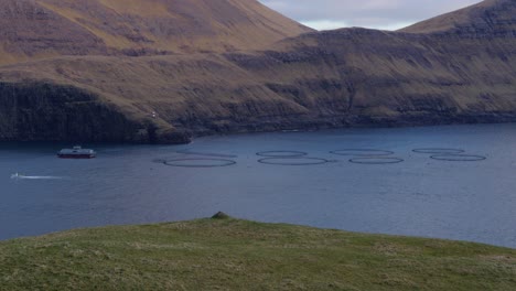 gran cámara lenta de una granja de salmón en las islas feroe