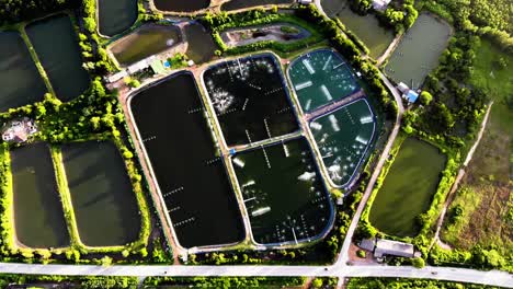 arial view of shrimp farm and fishing farm