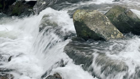 river rapid. boulders in river. closeup wet boulders and foamy mountain river.