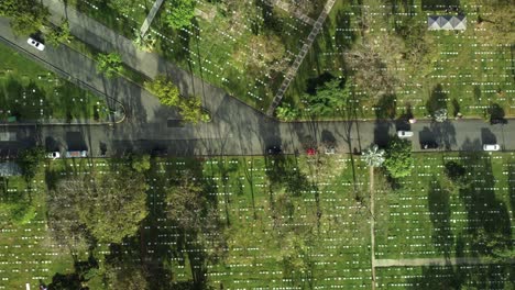 top down drone shot of road in a memorial cemetery park, with cars passing by