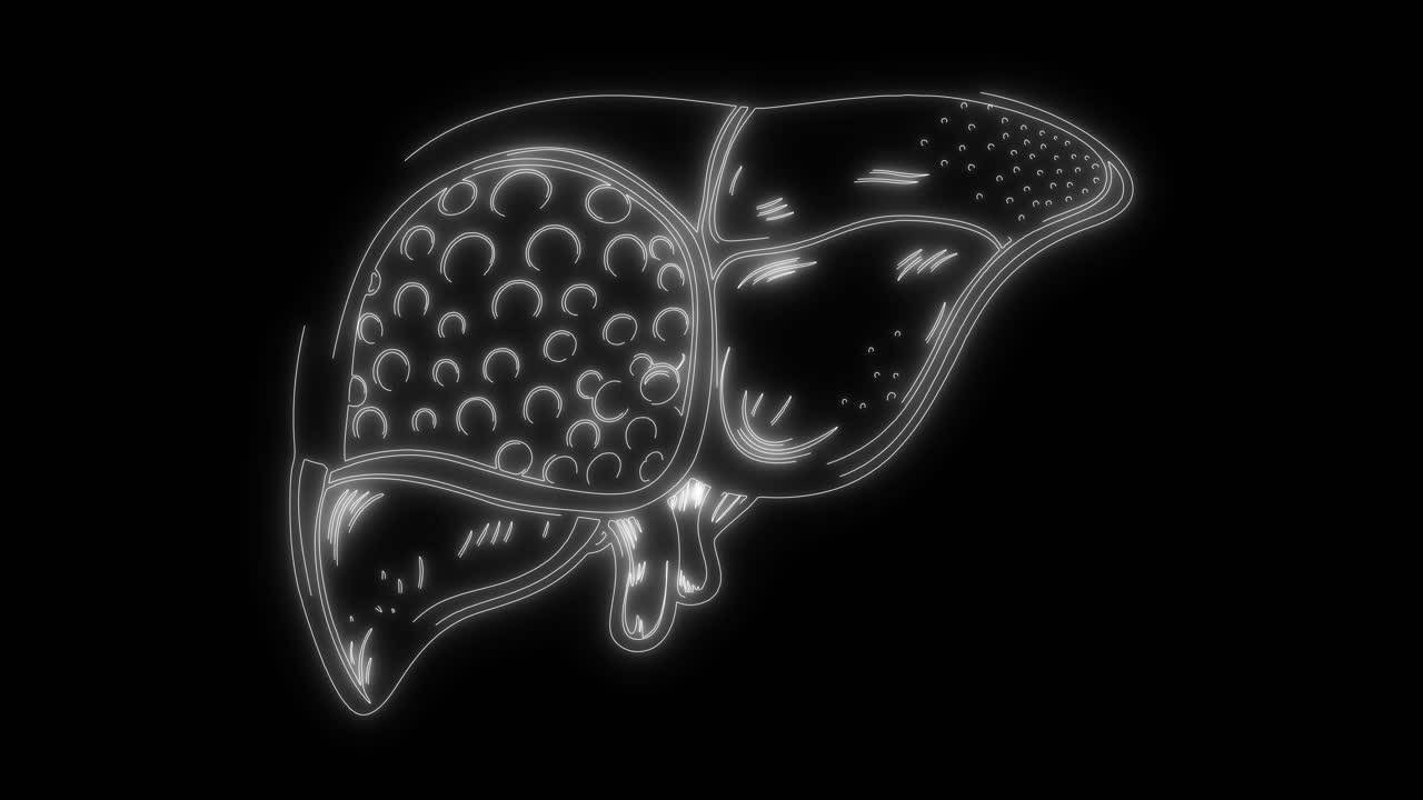 Animated Glowing Outline of Human Liver on Black Background