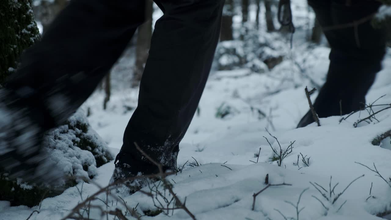 Nærbillede i fodhøjde af vintervandring i en stemningsfuld skov med sne og en sort hund