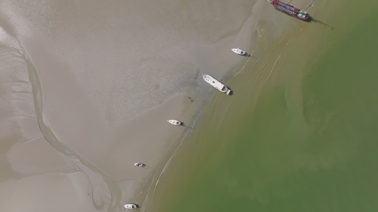 True top‑down of mixed boats resting by branching sand channels at the water’s edge; crisp separation of green sea and beige flats. Wadden Sea
