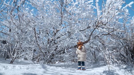 Curious-Toddler-Girl-Playing-Standing-in-Snowdrifts-with-Snow-Covered-Tree-Branches-in-Winter-Park-at-Balwangsan-Mountain,-Gangwon-do,-South-Korea