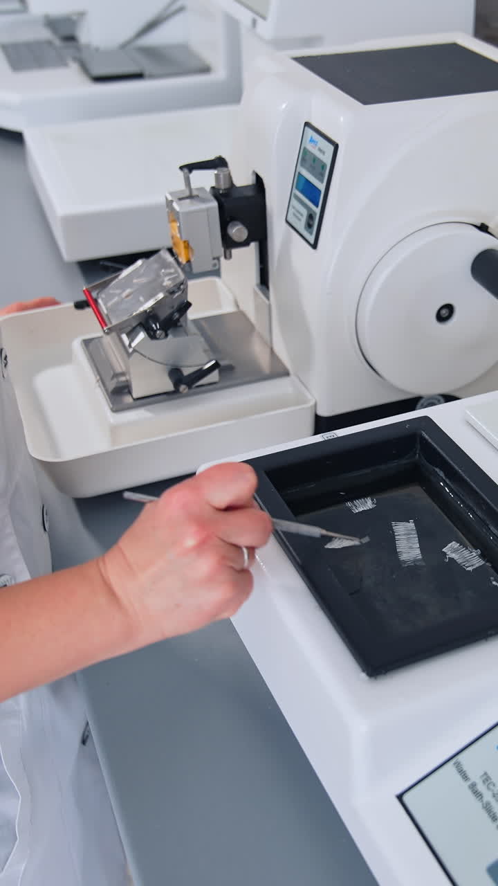 Sample for complete testing. Lab technician drawing samples in the clinical laboratory. Vertical video