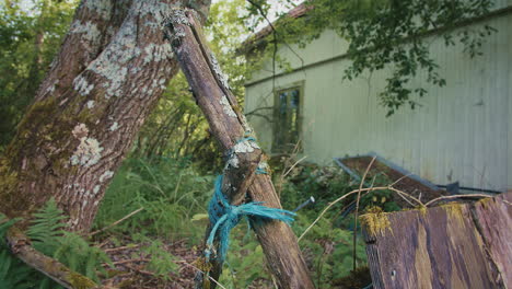 mossy wood with blue rope tied, next to an abandoned house surrounded by dense foliage.