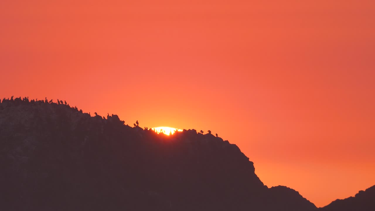 새와 바위 뒤로 사라지는 태양 구의 마지막 부분을 망원으로 본 모습