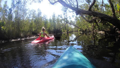 kayaking in a rainforest river point-of-view