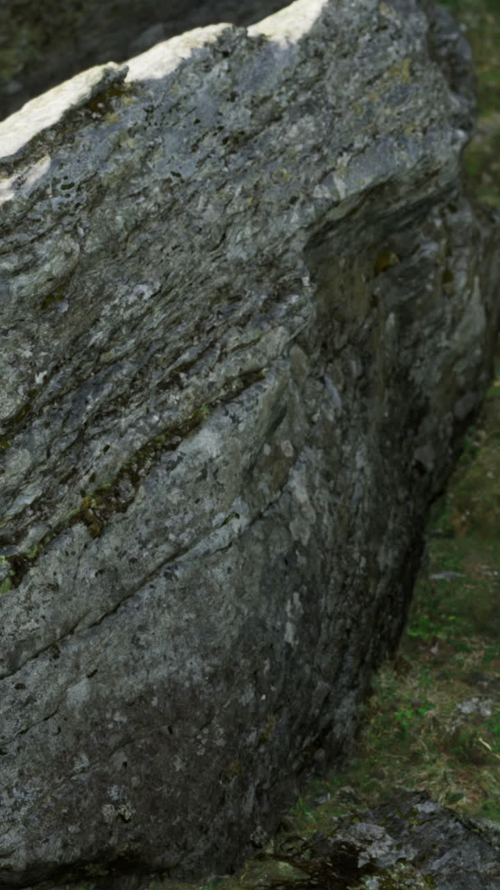 Formazione rocciosa in un sito naturale con muschio verde ed erba