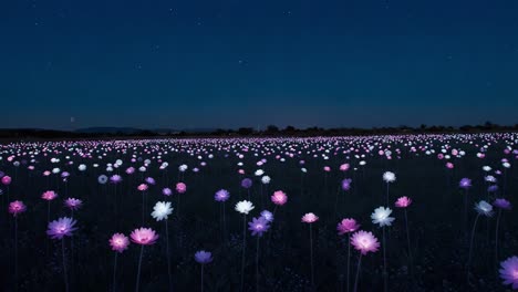 a breathtaking nighttime scene of a vibrant field filled with illuminated flowers under the starry sky, capturing the serenity and beauty of nature's nighttime splendor