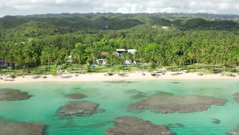 aerial view of tropical beach