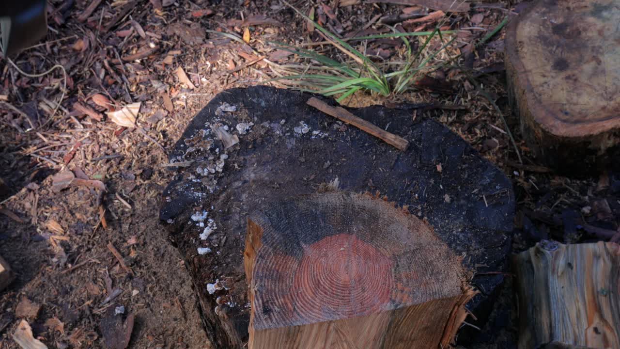 mirando el tronco mientras el hombre lo parte con un hacha - combustible de invierno - primer plano del hacha, tronco, hombre en el trabajo, piernas, botas de trabajo y guantes de trabajo - 4k 59