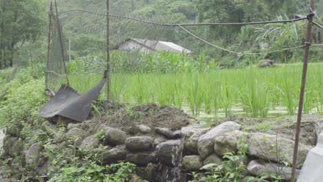 water diversion channels on rice paddies