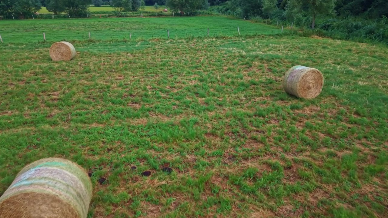 Vista aérea de pacas de heno redondas esparcidas por un campo rural verde en verano.