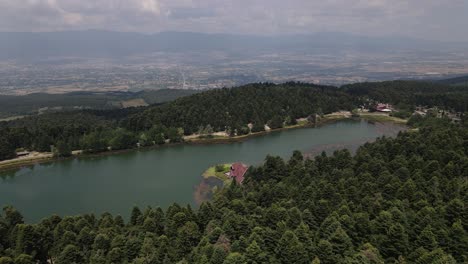 Natural-Lake-Forest-Aerial