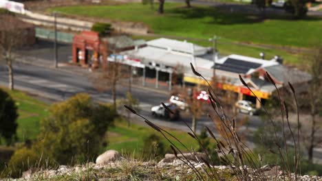 fahrzeuge, die an einem grasbewachsenen gebiet in ballarat vorbeifahren