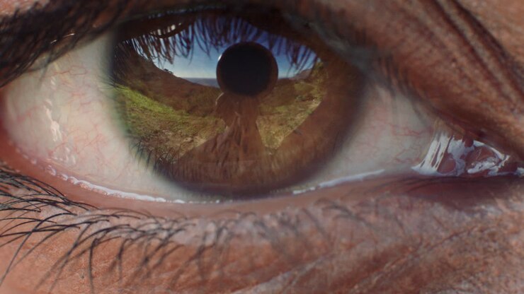 close up oog openen mooie bruine iris met reflectie
