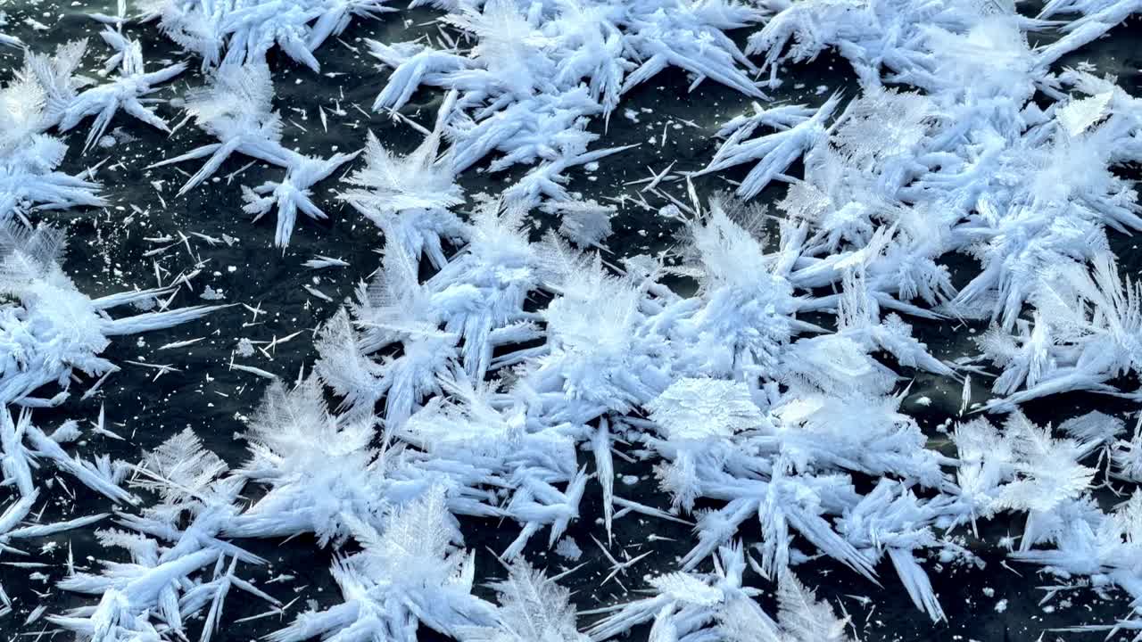 Primo piano di forme astratte di foglie ghiacciate in slow motion. Texture invernale naturale.