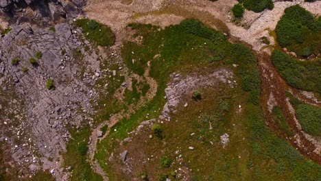 pantano con roca de hierba y un arroyo