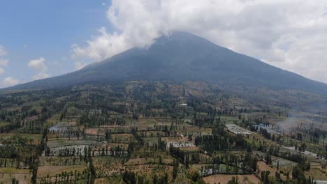 Crop-fields-growing-bellow-mount-Sumbing,-aerial-drone-view