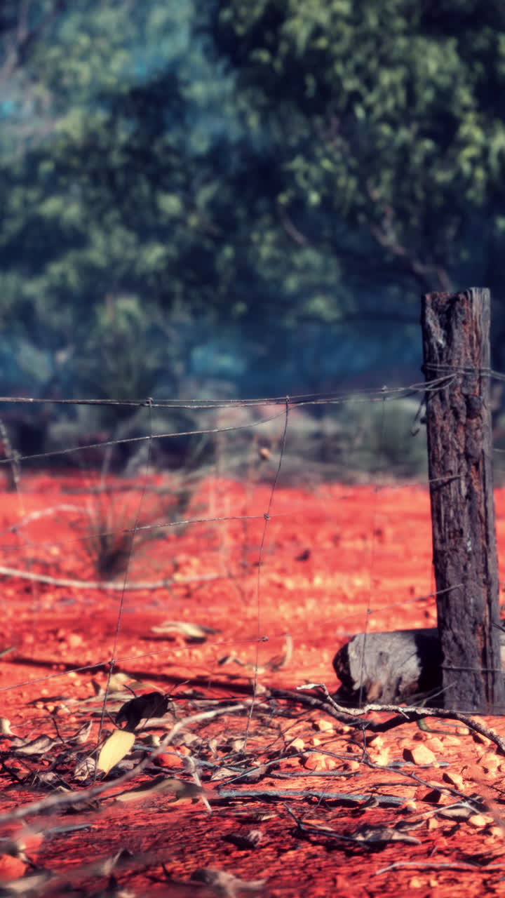 울타리가 있는 은 의 풍경