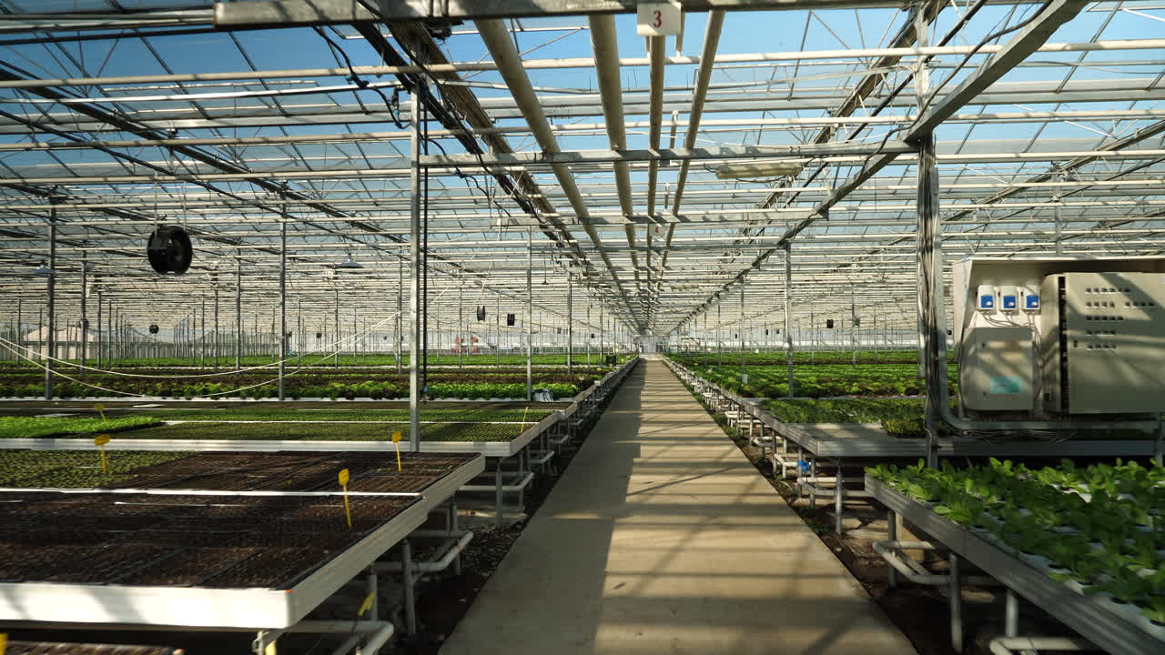 Inside a Modern Greenhouse