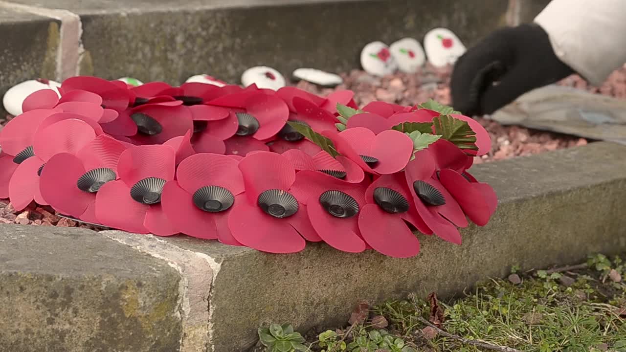 양귀비 추모 전시