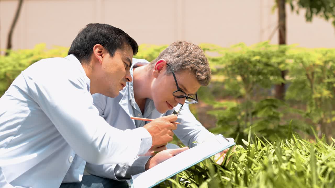 dos jóvenes biotecnólogos en bata blanca comprueban la espinaca de agua para la investigación con otras especies de verduras en la granja orgánica. productos de buena calidad, recuerden el cultivo de plantas, el concepto de agricultura del día de la tierra.