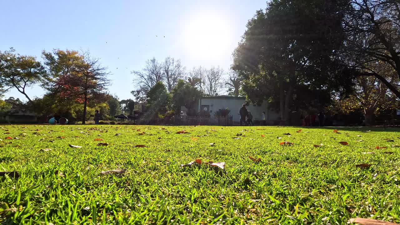 나무 와 집 이 있는 빛 이 비치는 공원