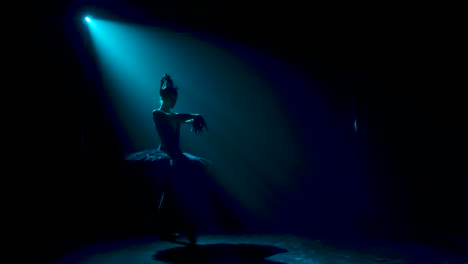 Silhouette of a graceful ballerina in a chic image 2023 11 27 04 52 38 utc.mov | action, alone, art, ballerina