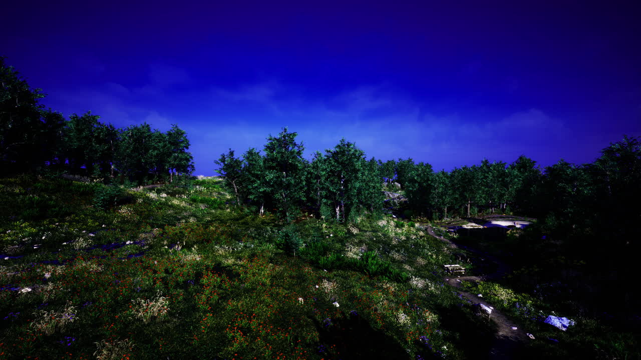 Lush green forest landscape under a vibrant blue sky during daylight hours