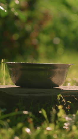 cuenco de metal colocado en una tabla de madera en un entorno natural al aire libre, con un fondo borroso con vegetación exuberante y hojas suaves balanceándose en un día soleado