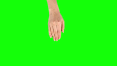 la mano abierta de la mujer en la pantalla verde