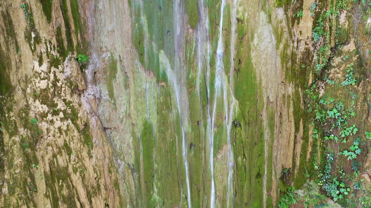 drone ascendente filmado a lo largo de una pared rocosa de musgo con una cascada estrellada durante un día soleado - salto del limón, samana, república dominicana