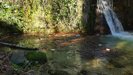 pieces of wood and garbage float on the water of a mountain stream