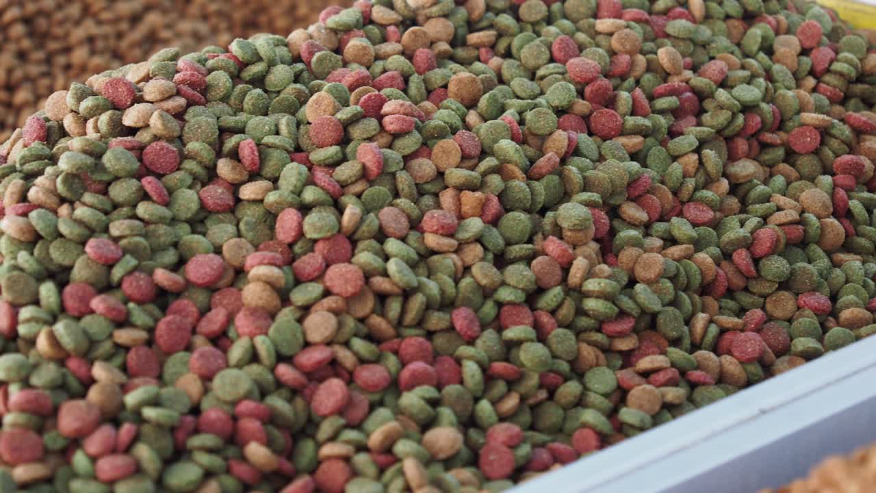 건조 한 반려동물 음식 어리 의 근접