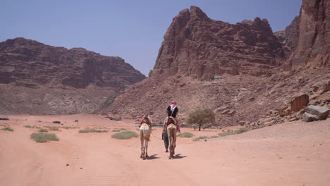 tourist riding camel in desert landscape of wadi rum, jordan on hot sunny day