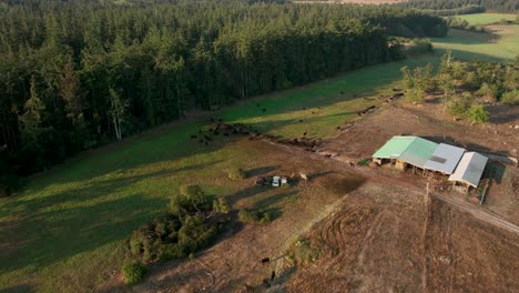 Rising-aerial-view-of-a-small-private-farm-next-to-a-lush-green-forest