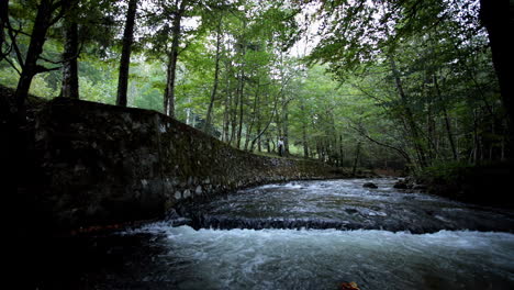 Romanian-girl-walking-along-the-artificial-river,-Romania-2