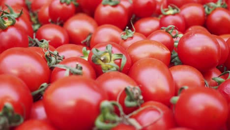 un montón de tomates rojos
