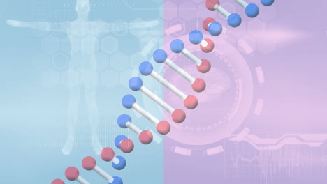 데이터 처리에 대한 dna 가닥의 애니메이션