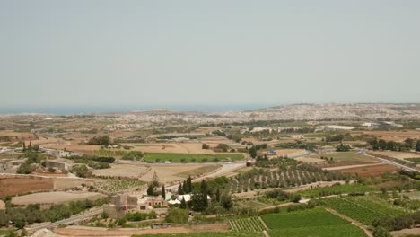 countryside fields with vineyards, orchard, and vehicles driving in the road in malta, europe