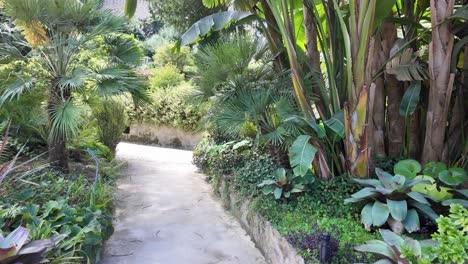 lush tropical plants in the gardens of quinta da regaleira, sintra, portugal on a sunny day