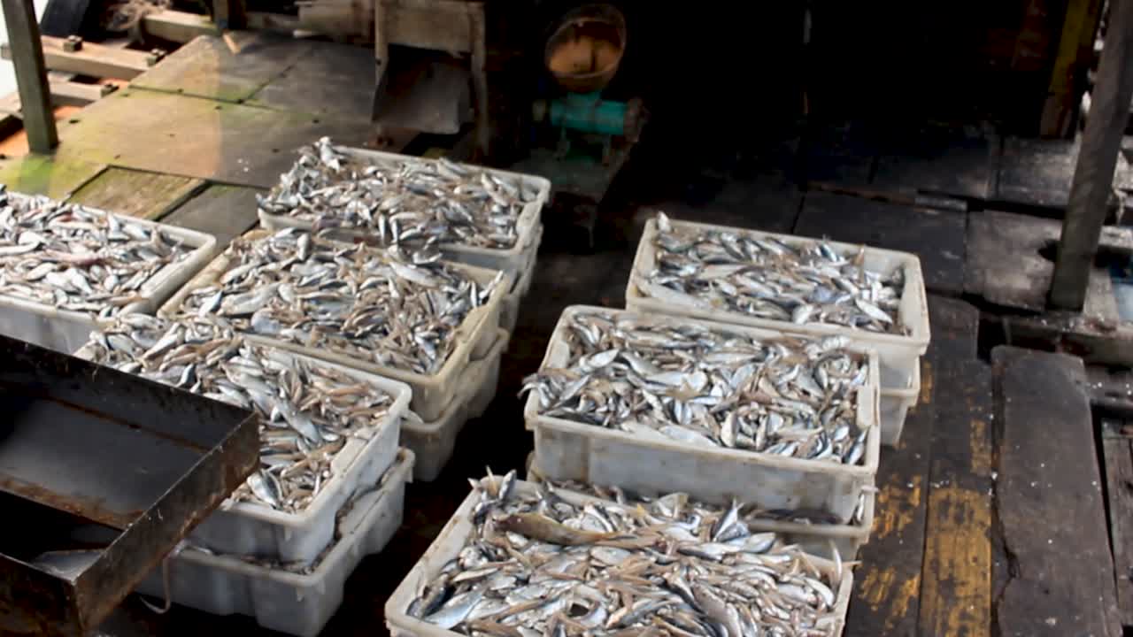 베트남 하롱 베이의 전통적인 어부 보트와 수상 가옥