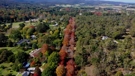 Drone-footage-in-Honour-Avenue