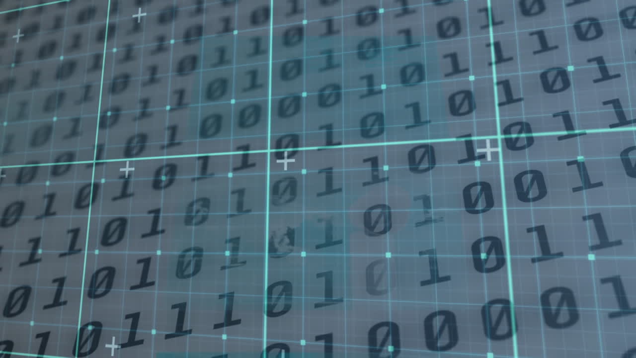 Animation of data processing over binary coding