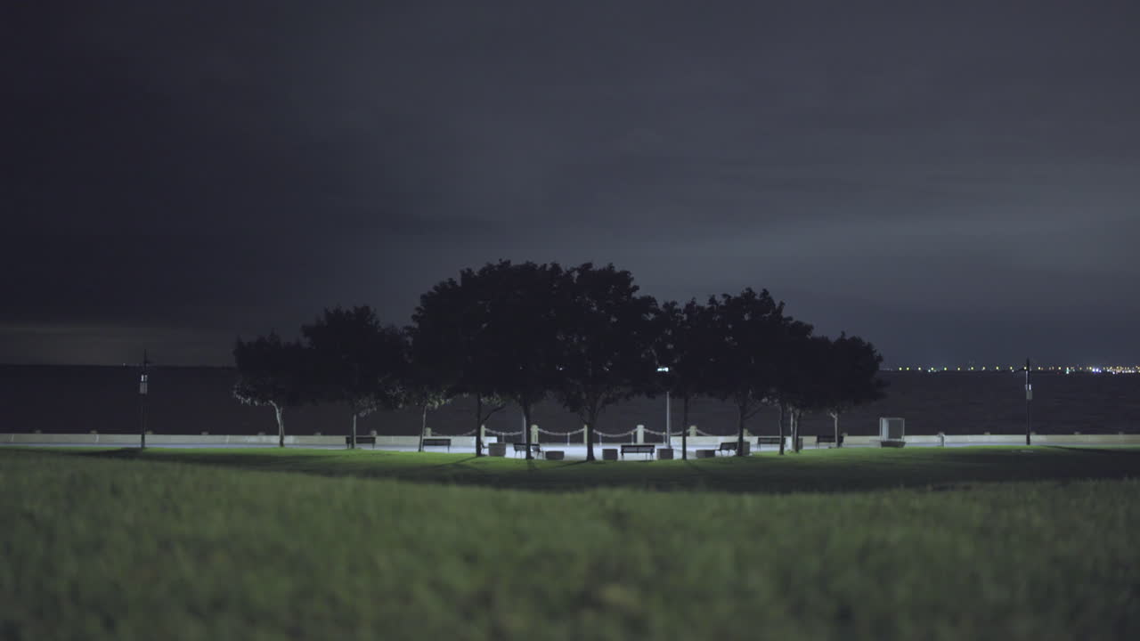 멀리서 물이 튀면서 밤에 해안가 옆 나무에 불이 켜졌습니다.